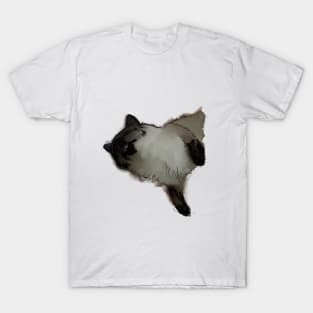 sleeping cat T-Shirt